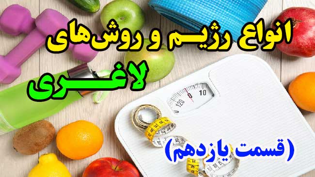 انواع روش های لاغری - ۱۱