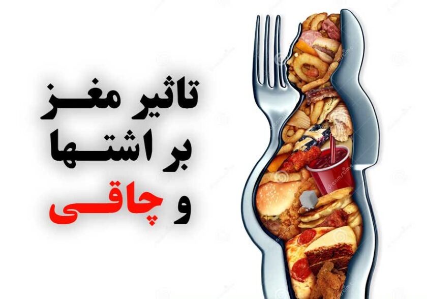 تاثیر مغز بر کاهش اشتها