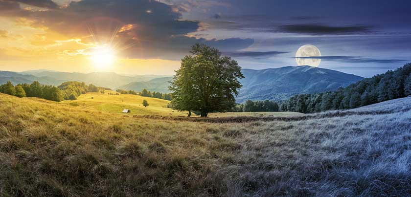 تغییر کردن
