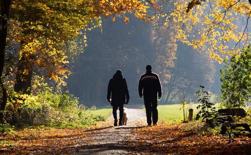 کاهش وزن با پیاده روی