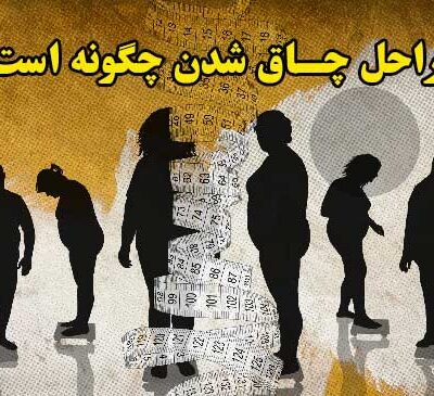 مراحل چاق شدن