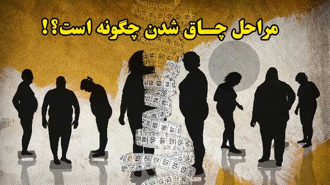 مراحل چاق شدن