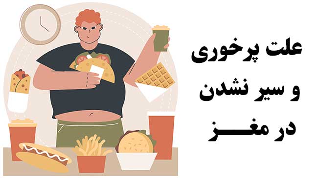 ارتباط مغز و پرخوری عصبی