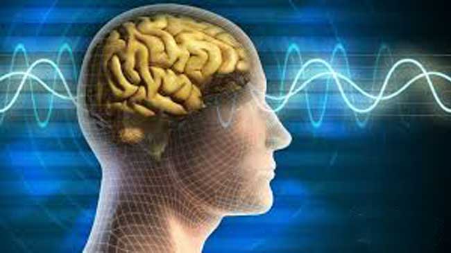 تاثیر ذهن بر مغز