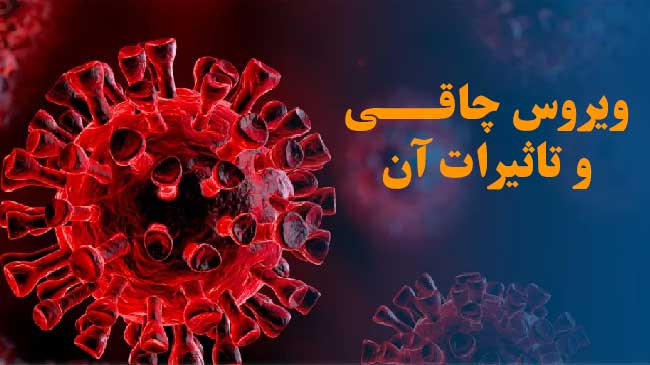 ویروس چاقی و تاثیر آن