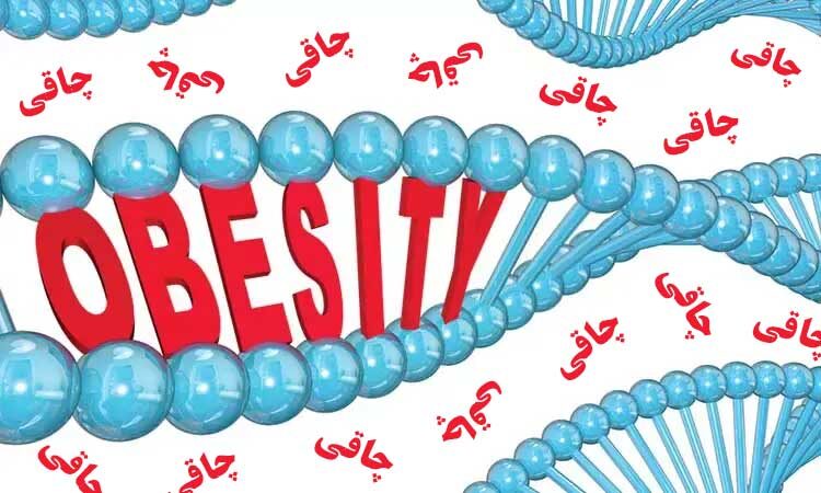 چاقی ارثی است یا عادتی