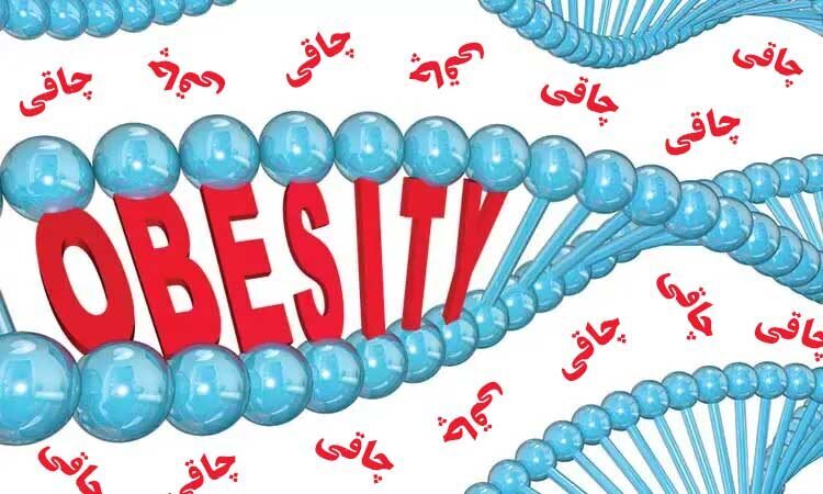 چاقی ارثی است یا عادتی