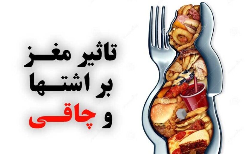 علت اشتهای زیاد