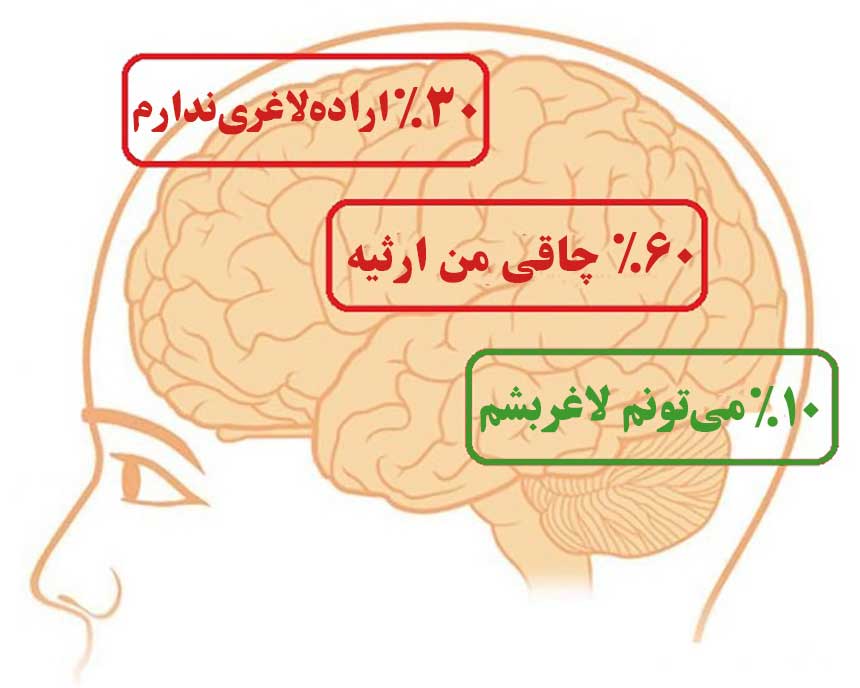 تاثیر فرمول های ذهنی بر چاقی