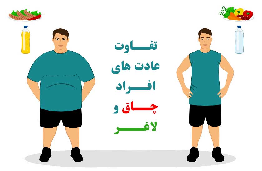 عادت های افراد چاق و لاغر