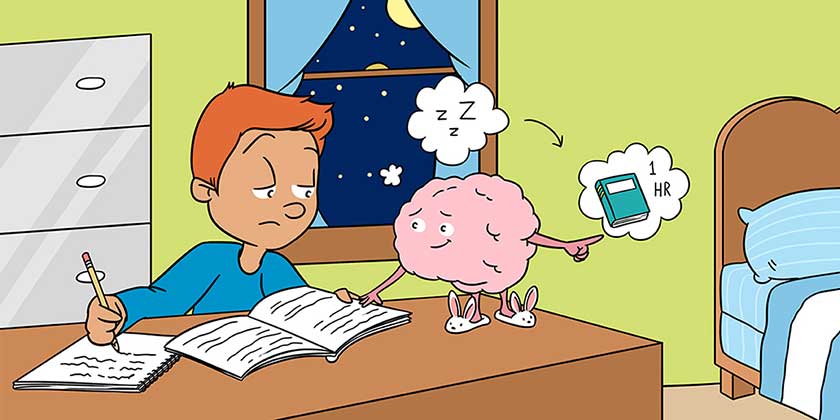 نقش مغز در یادگیری