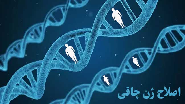 اصلاح ژن چاقی