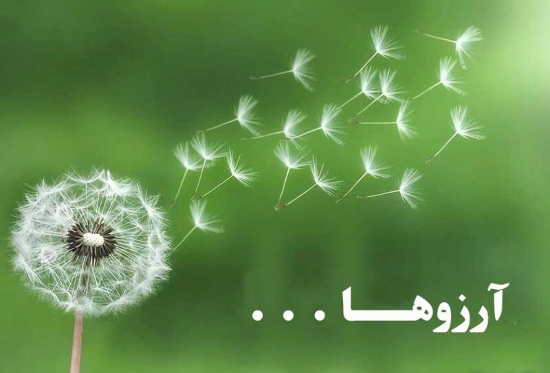 راه رسیدن به خواستهها