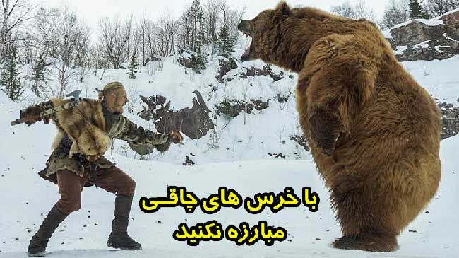 باورهای چاقی