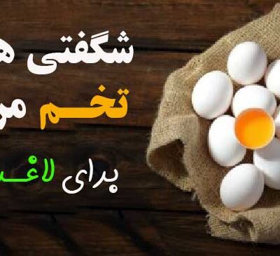 تخم مرغ