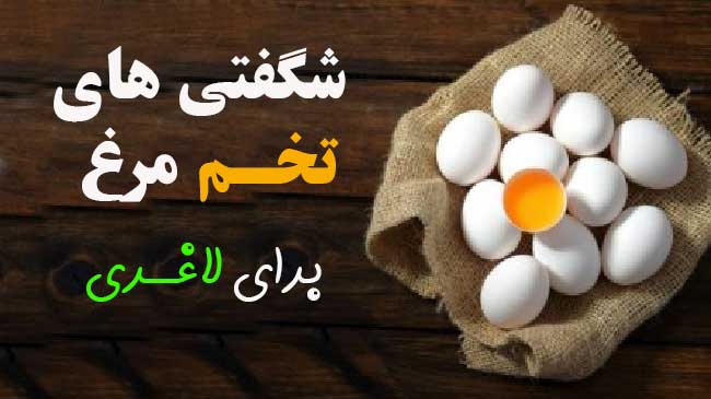 تخم مرغ