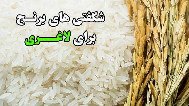 برنج برای لاغری