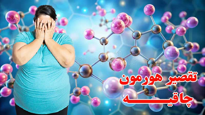 تاثیر هورمون چاقی