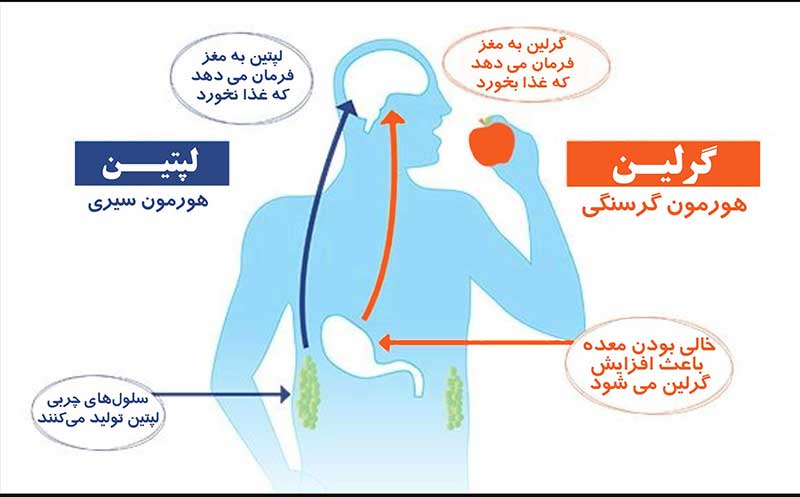 علت گرسنگی