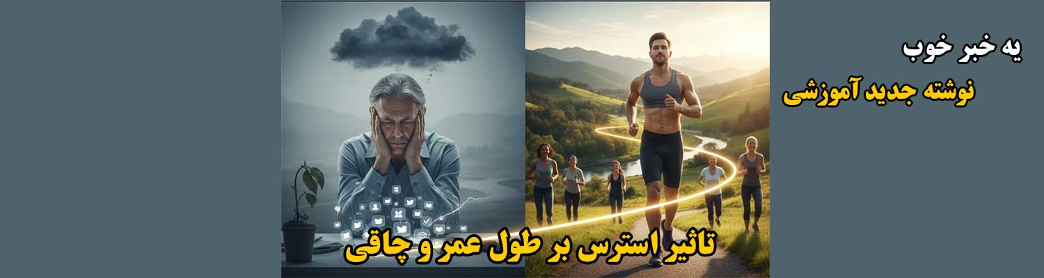 تاثیر استرس