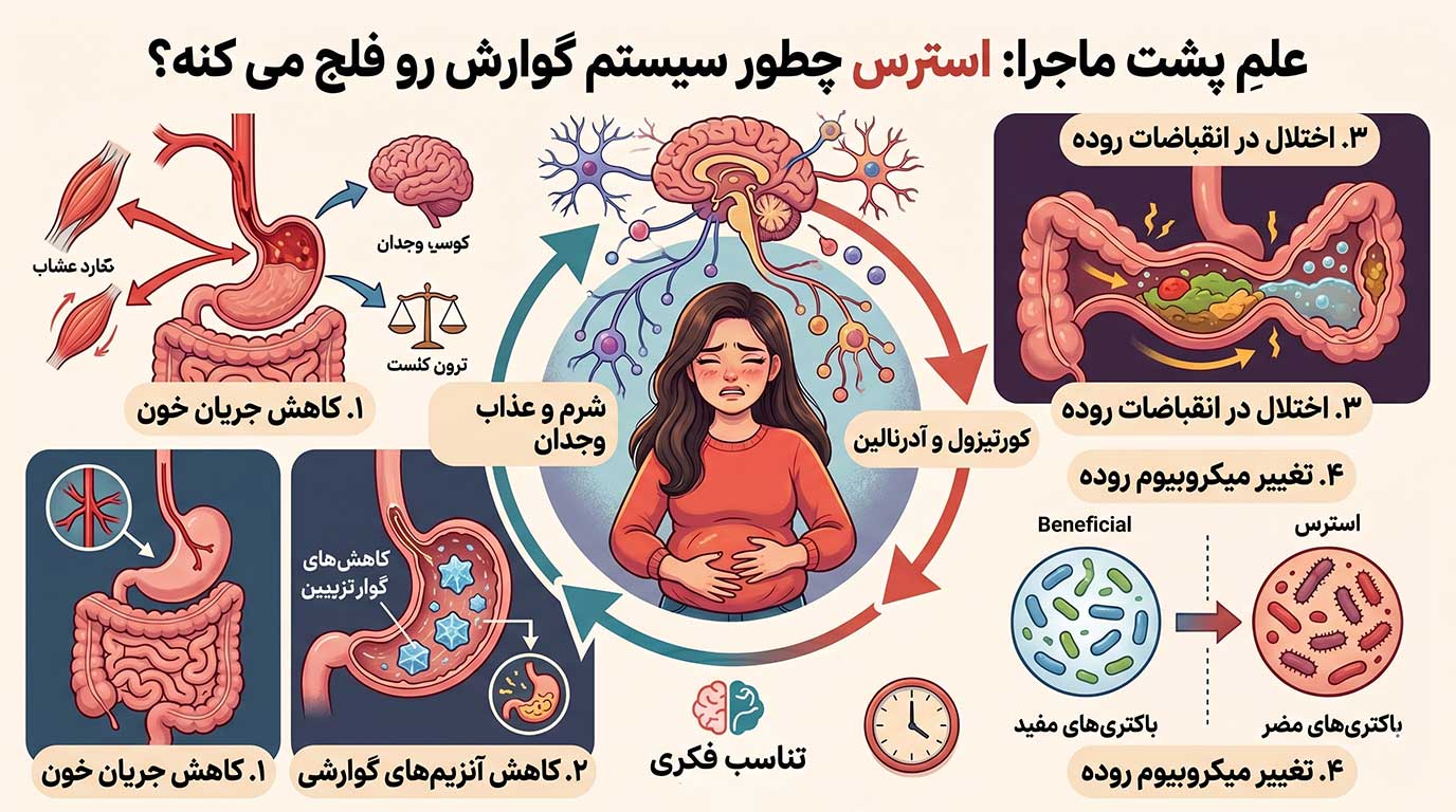 تاثیر استرس بر چاقی