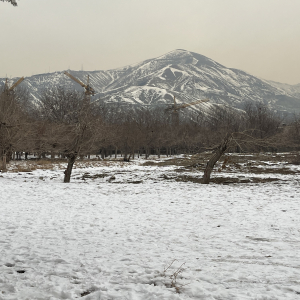 آواتار ستایش