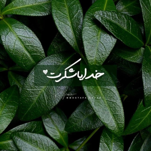 آواتار زهرا کیوان