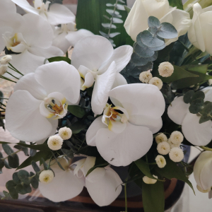 آواتار نرگس زمانی