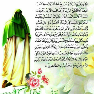 آواتار فاطمه حیدری