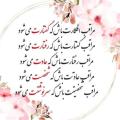 آواتار s.mohammadi8195